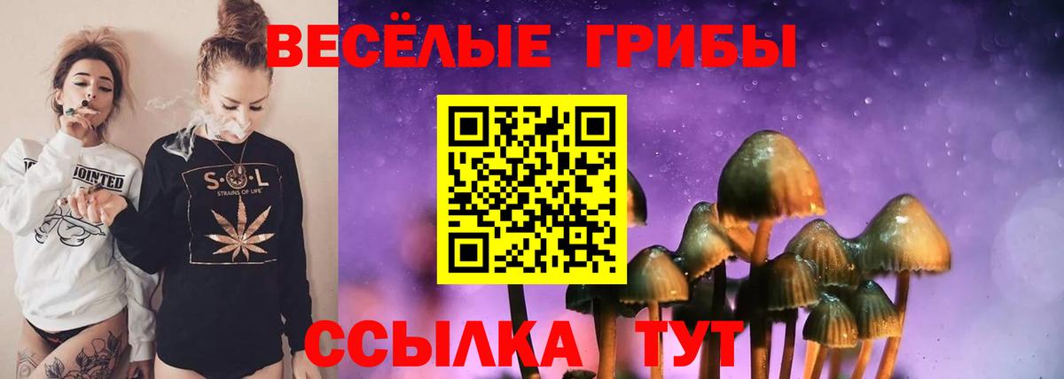Псилоцибиновые грибы Psilocybine cubensis Жуковский